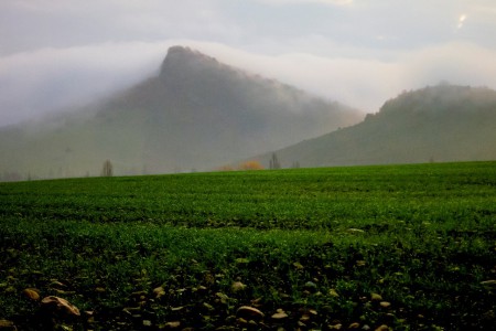 Muguetajarra